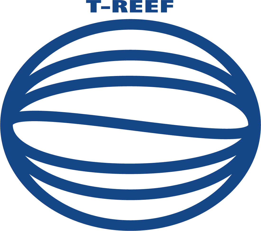 湘南で楽しむ初心者向けサーフィン