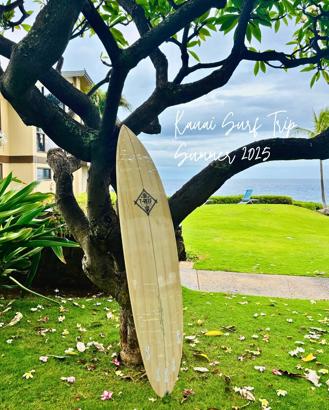 Custom Surfboard: Shortboard 6...