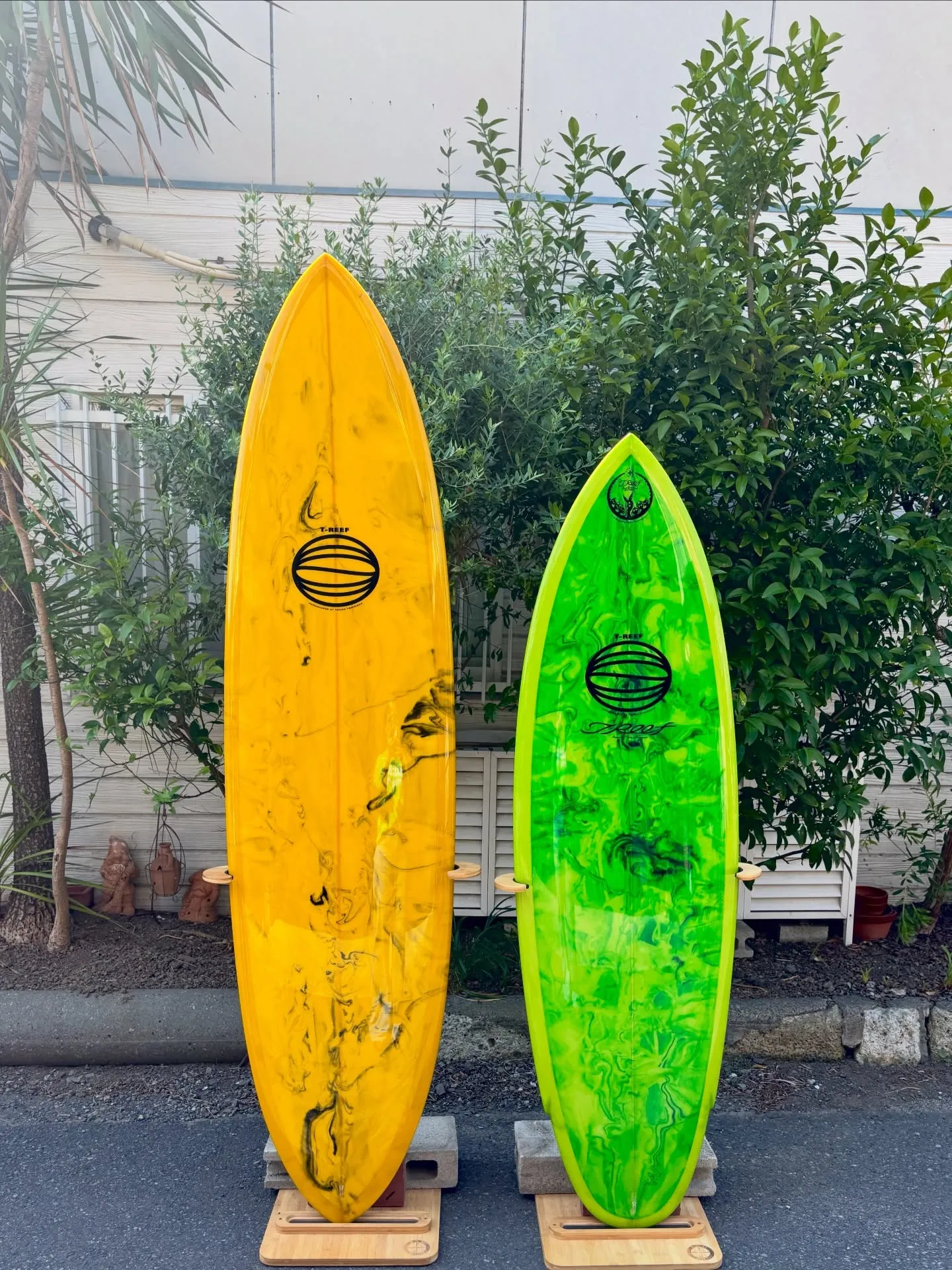 Green abstract - Charlie