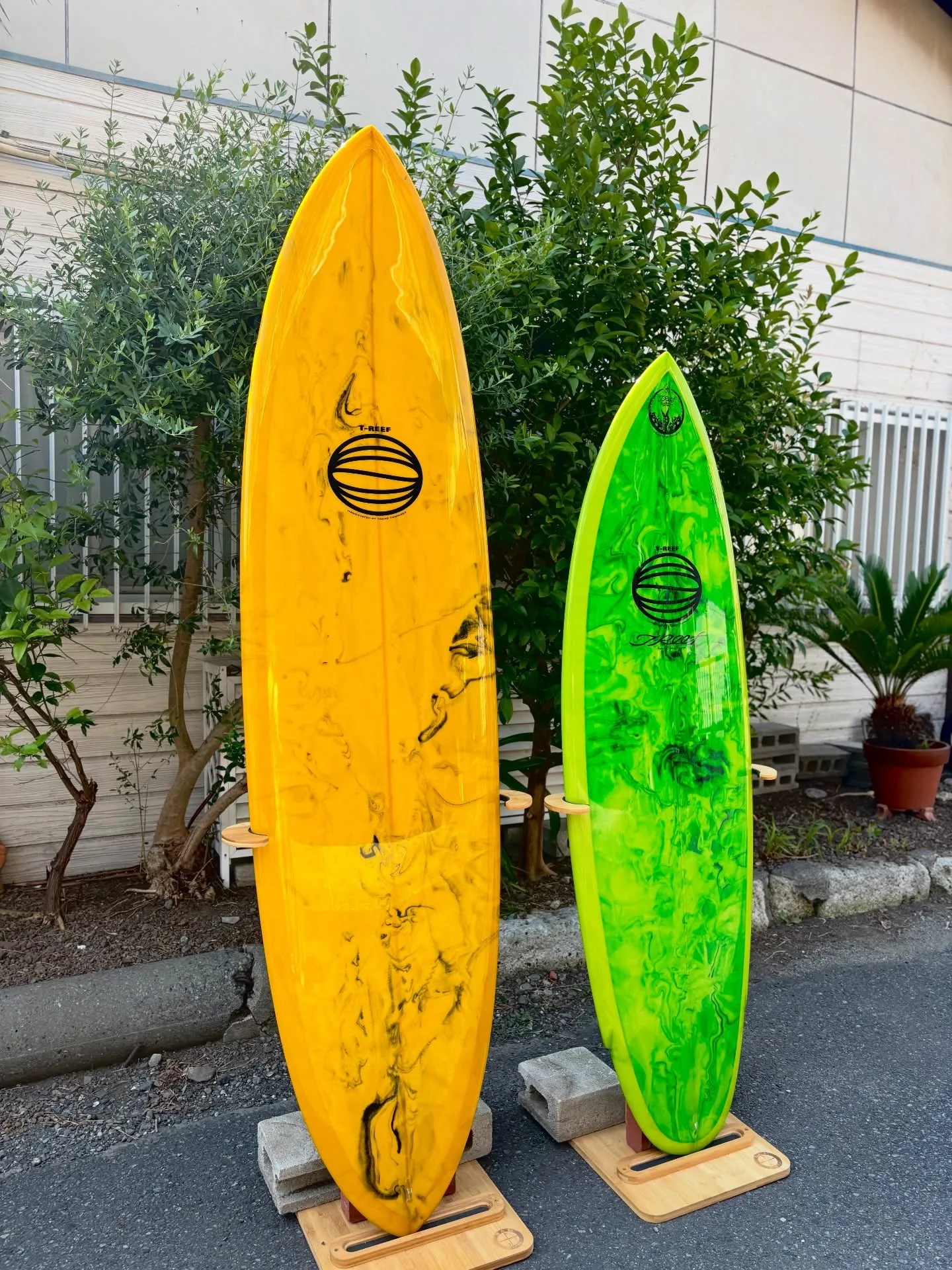 Green abstract - Charlie