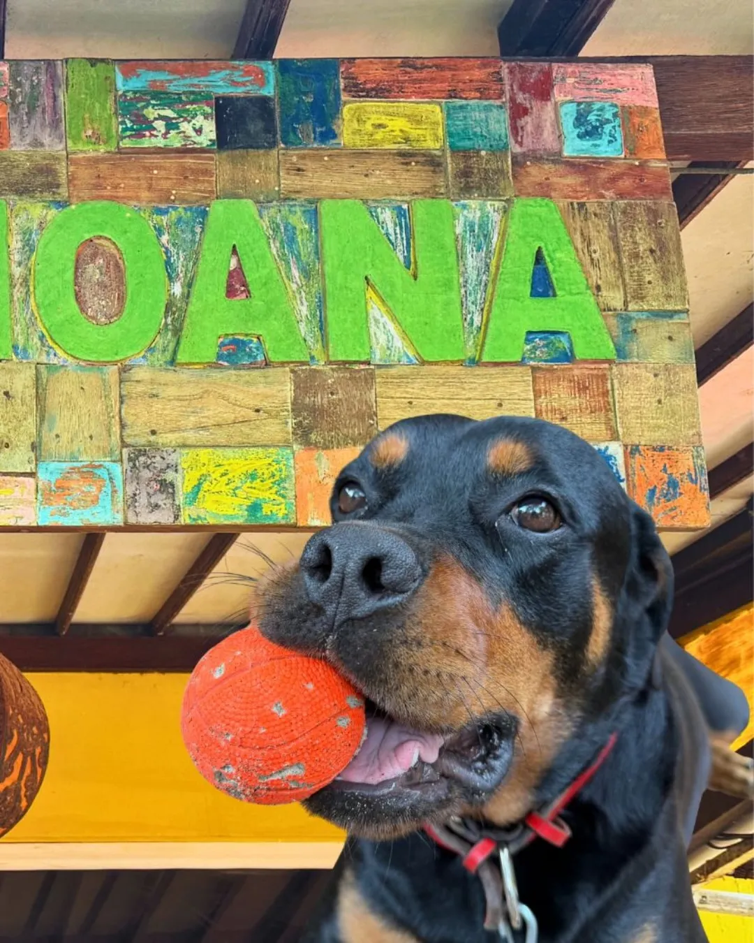 First Surf Trip of the year: B...