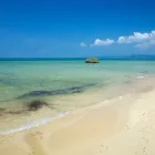 T-REEF Shaperoom & Showroom